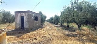 Terreno en venta en La Paz en Alcalá de Guadaira