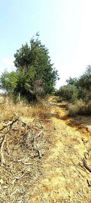 Terreno en venta en La Paz en Alcalá de Guadaira