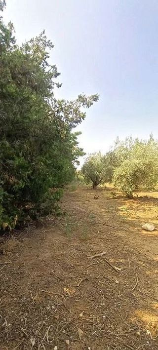 Terreno en venta en La Paz en Alcalá de Guadaira