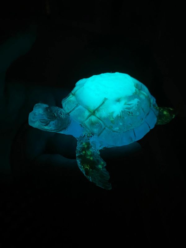 Tortuga marina fosforescente