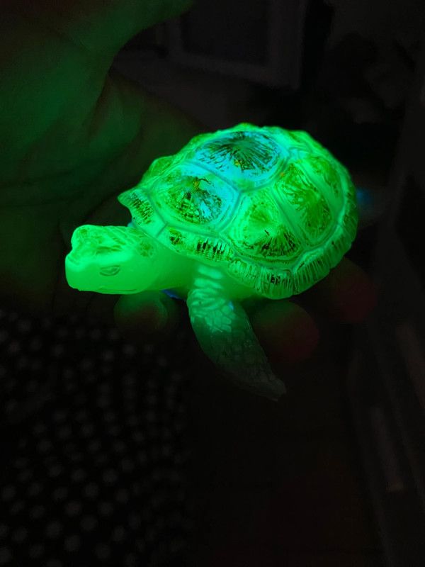 Tortuga fosforescente