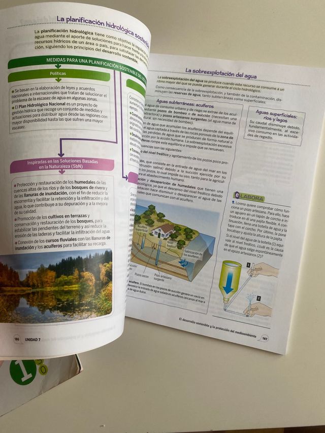 Biología y Geología 1 ESO Bruño