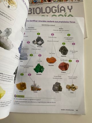 Biología y Geología 1 ESO Bruño