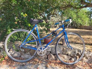 Bicicleta Razesa Vintage