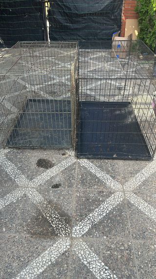2 Jaulas Grandes Perros - Gris y Negro