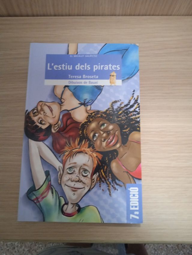 L'estiu dels pirates