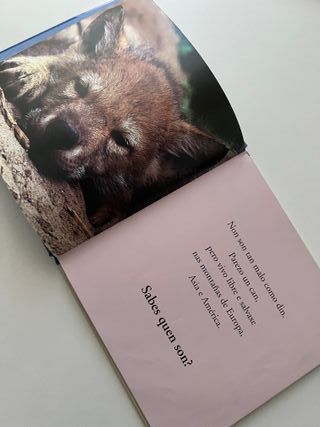 Pequechos Das Terras Polares FactoríaK de Kalandra