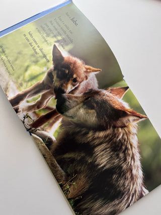 Pequechos Das Terras Polares FactoríaK de Kalandra