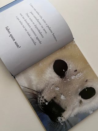 Pequechos Das Terras Polares FactoríaK de Kalandra