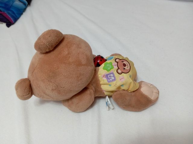 Oso de peluche musical gatea habla y canta