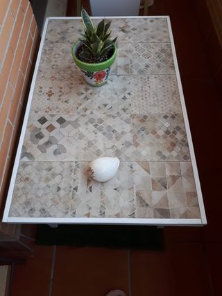 Conjunto Jardín Terraza