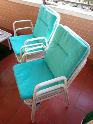 Conjunto Jardín Terraza