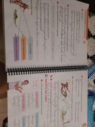 LENGUA CASTELLANA SERIE ACENTOS 2 PRIMARIA CONS...