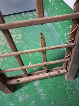 Arco de madera para plantas - 1,6 x 2,2m