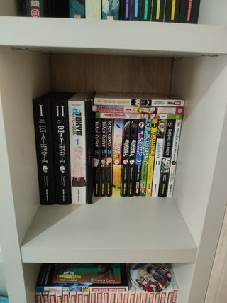 MANGAS COLECCIÓN VARIADA.
