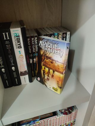 MANGAS COLECCIÓN VARIADA.