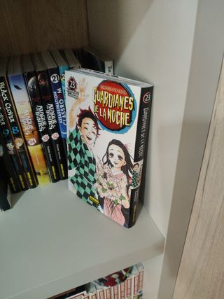 MANGAS COLECCIÓN VARIADA.