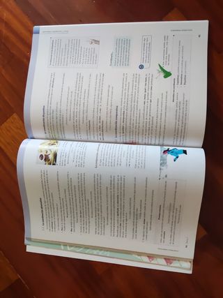 Libro de consulta Bachillerato: Lengua Castellana