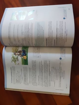 Libro de consulta Bachillerato: Lengua Castellana