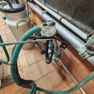 Despiece sala ordeño capacidad para 16 vacas