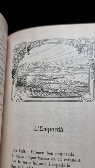 Prosa Vers libro juvenil