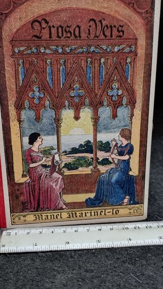 Prosa Vers libro juvenil
