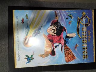 Poster Quidditch Harry Potter