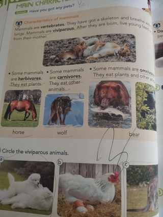 Libro Natural Science segundo de primaria ANAYA