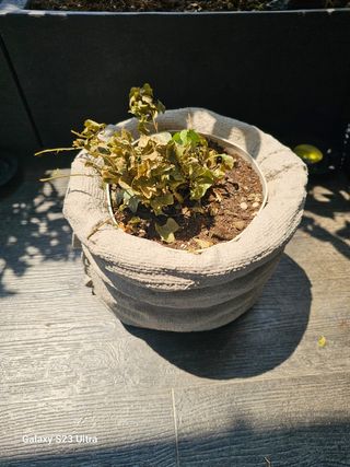 Vaso esterno effetto juta beige