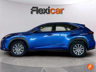 Lexus NX 2.5 300h Business Navigation 2WD