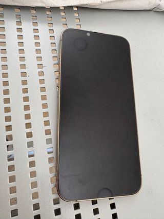 iPhone 13 Pro Max Gold