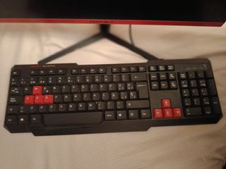 Monitor PC + Teclado gaming