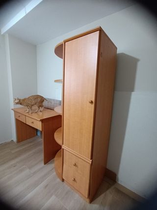 Escritorio+Estanterías madera