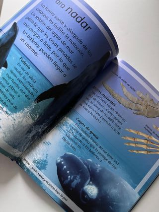 Ballenas Y Delfines EDE primeros lectores