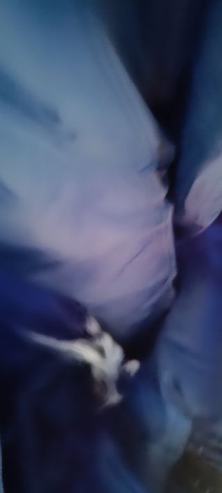 Mono esquí azul - Talla L