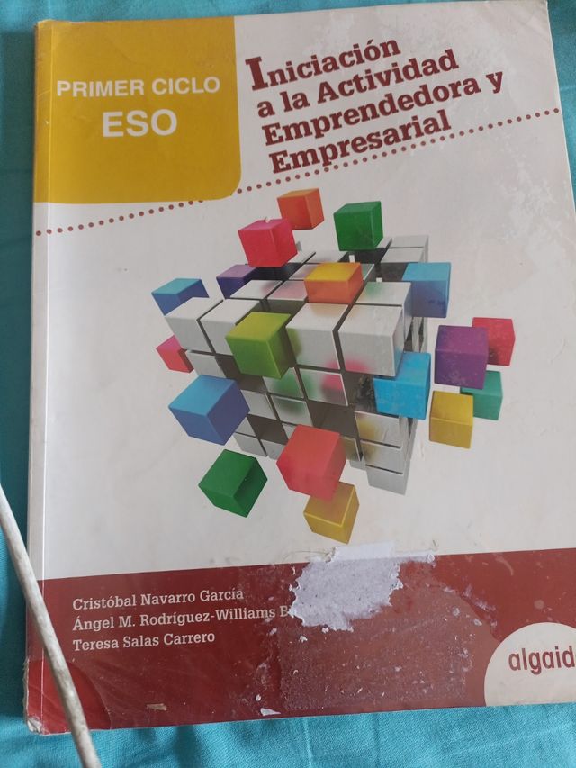 Libro Iniciación Actividad Emprendedora ESO