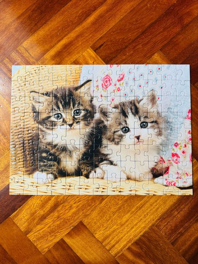 Puzzle 100 piezas - 2 gatitos