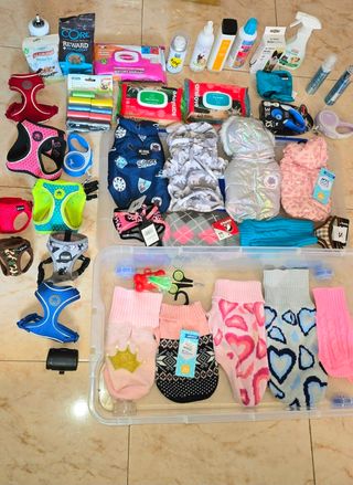 Lotto articoli per cani piccoli