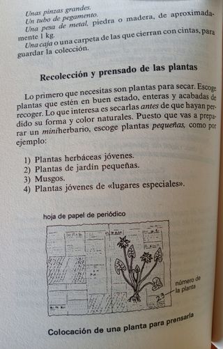 AVENTURAS CON PLANTAS PEQUEÑAS