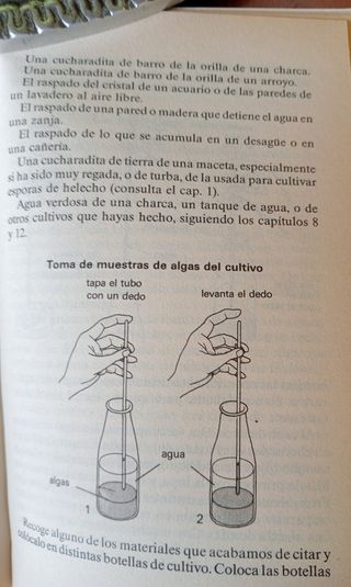 AVENTURAS CON PLANTAS PEQUEÑAS