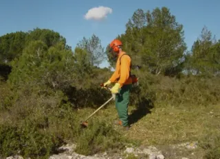 Servicio de Jardinería