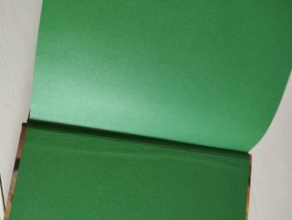 Libro FELINOS SALVAJES