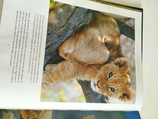 Libro FELINOS SALVAJES