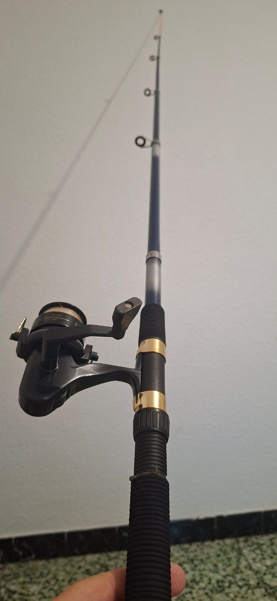 Caña Pesca DAM Demon Super 2106