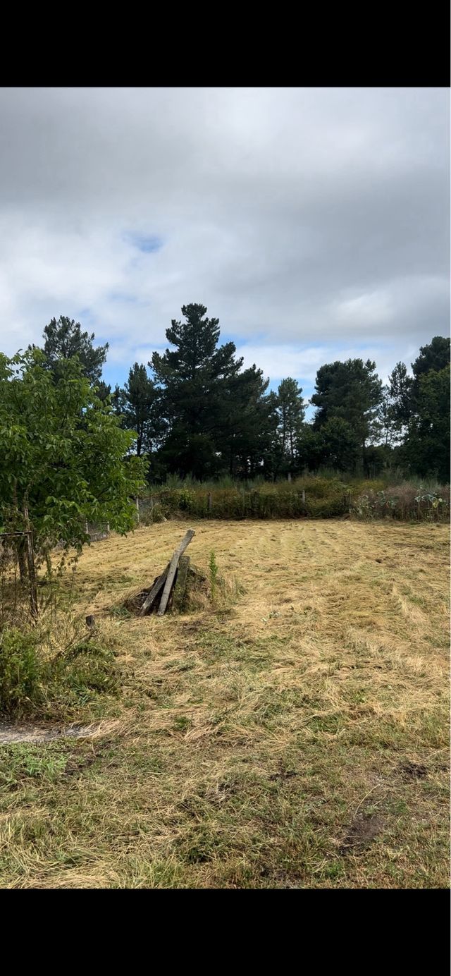 se realizan desbroces