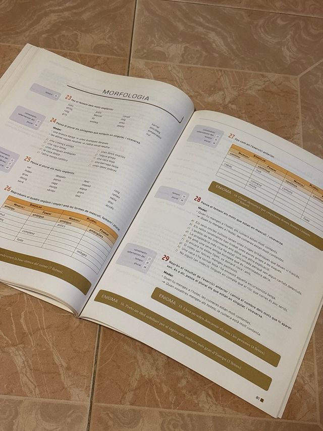 MANUAL DE LLENGUA 1 BATX. (Catalan Edition)