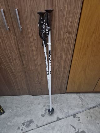 Bastones Esquí Scott Legend