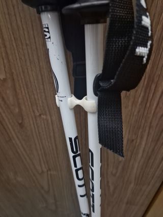 Bastones Esquí Scott Legend