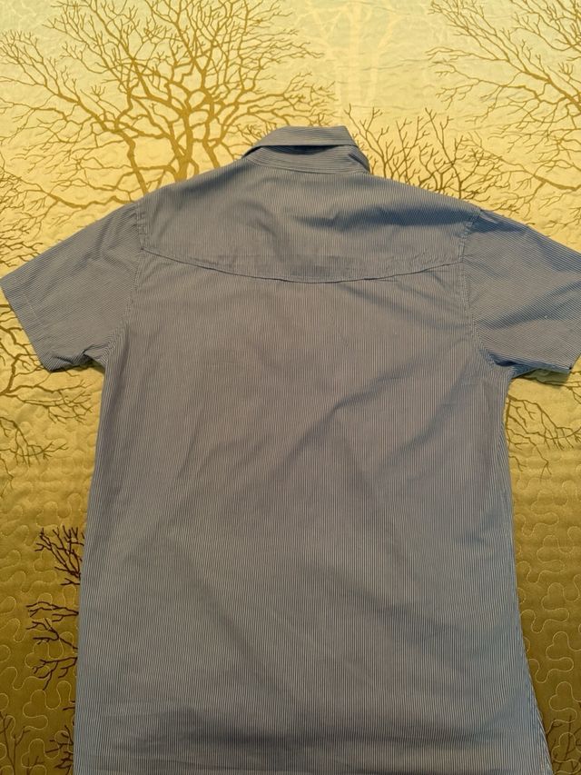 Camicia Alcott Uomo M - Blu a Righe