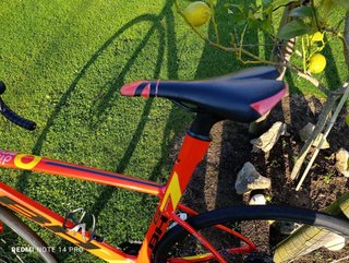 Bicicleta BH G7 Disc MD